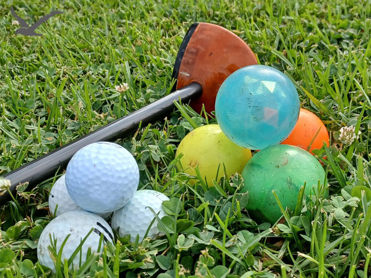 Rozmanitost parkových golfových míčků